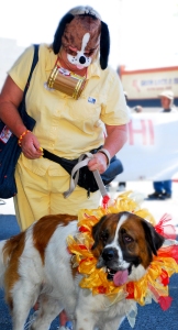 a St. Bernard in a frilly colar and its owner who is wearing a St. Bernard dog mask